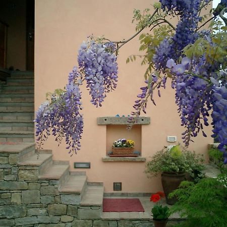 Il Glicine Bed & Breakfast San Dorligo della Valle ภายนอก รูปภาพ