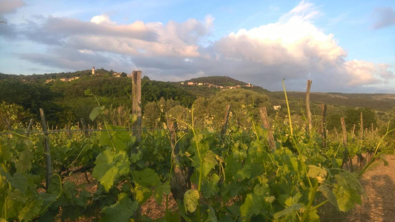 Il Glicine Bed & Breakfast San Dorligo della Valle ภายนอก รูปภาพ