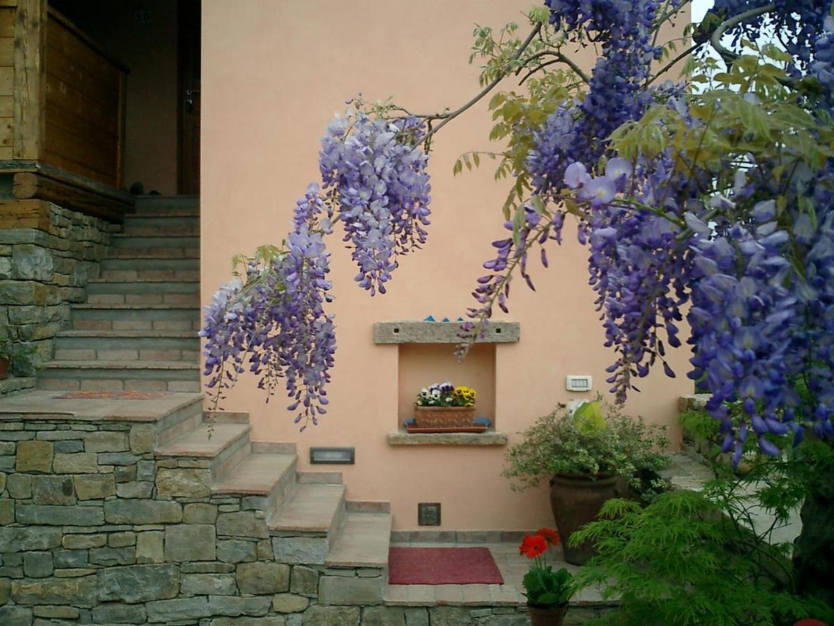Il Glicine Bed & Breakfast San Dorligo della Valle ภายนอก รูปภาพ