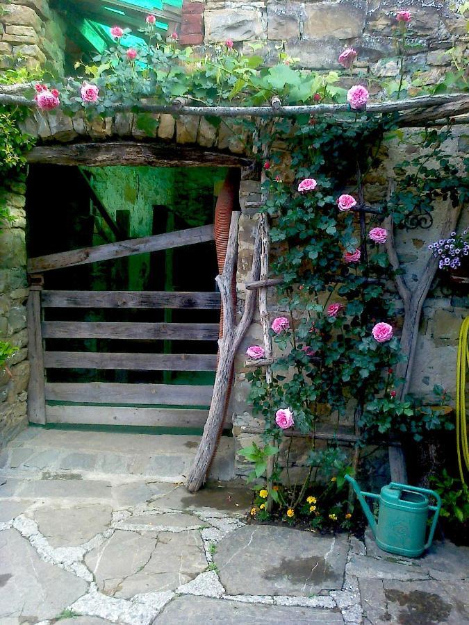 Il Glicine Bed & Breakfast San Dorligo della Valle ภายนอก รูปภาพ