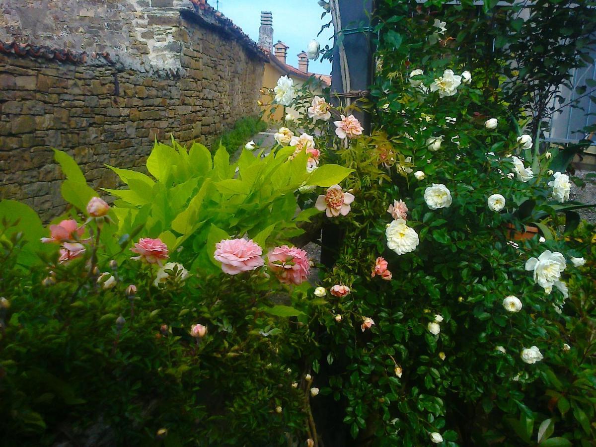 Il Glicine Bed & Breakfast San Dorligo della Valle ภายนอก รูปภาพ