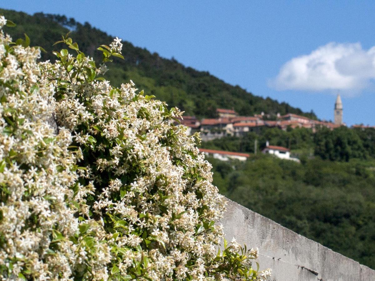 Il Glicine Bed & Breakfast San Dorligo della Valle ภายนอก รูปภาพ