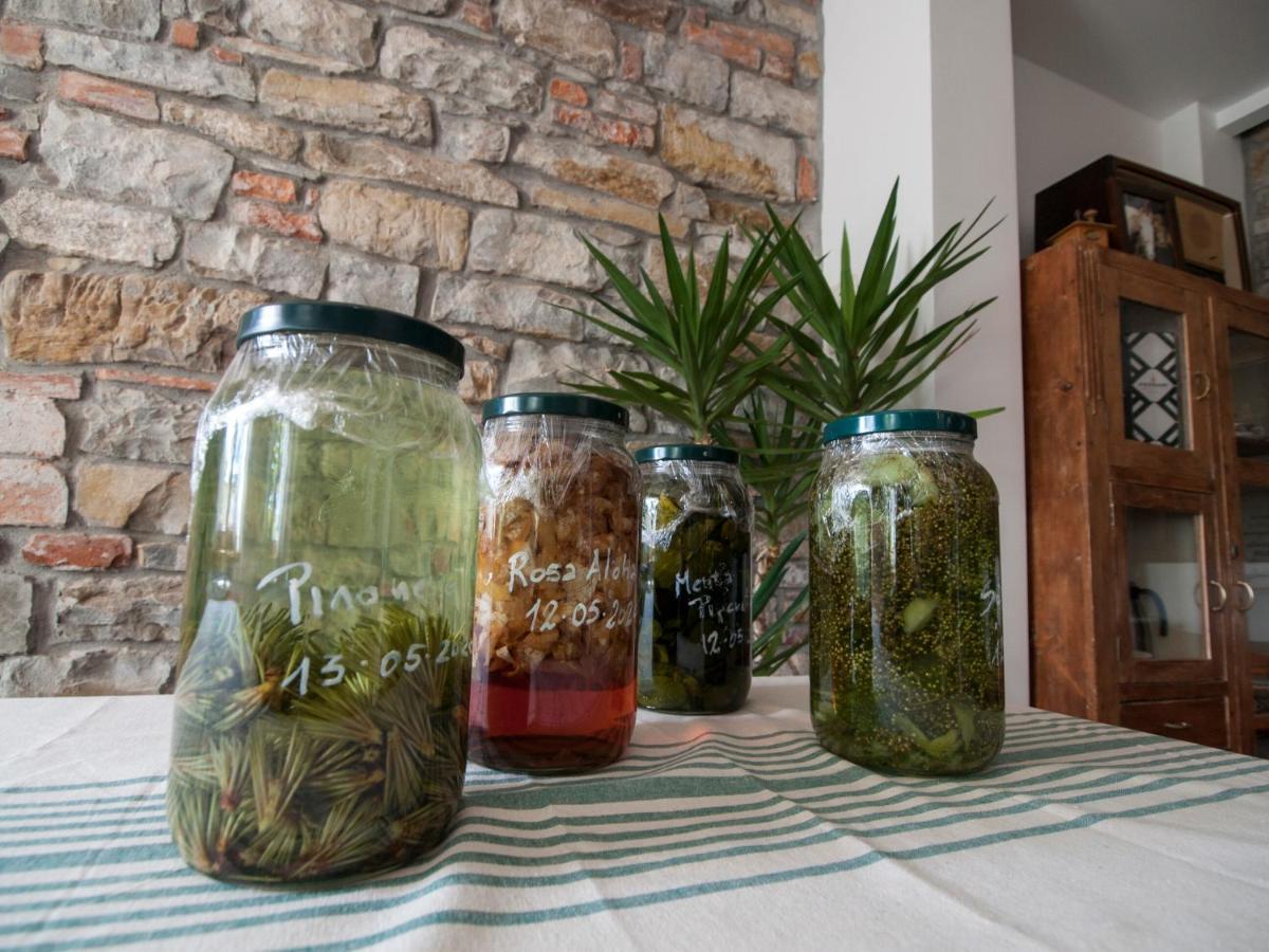 Il Glicine Bed & Breakfast San Dorligo della Valle ภายนอก รูปภาพ