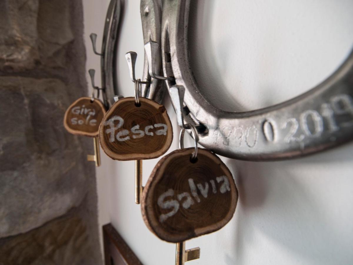 Il Glicine Bed & Breakfast San Dorligo della Valle ภายนอก รูปภาพ