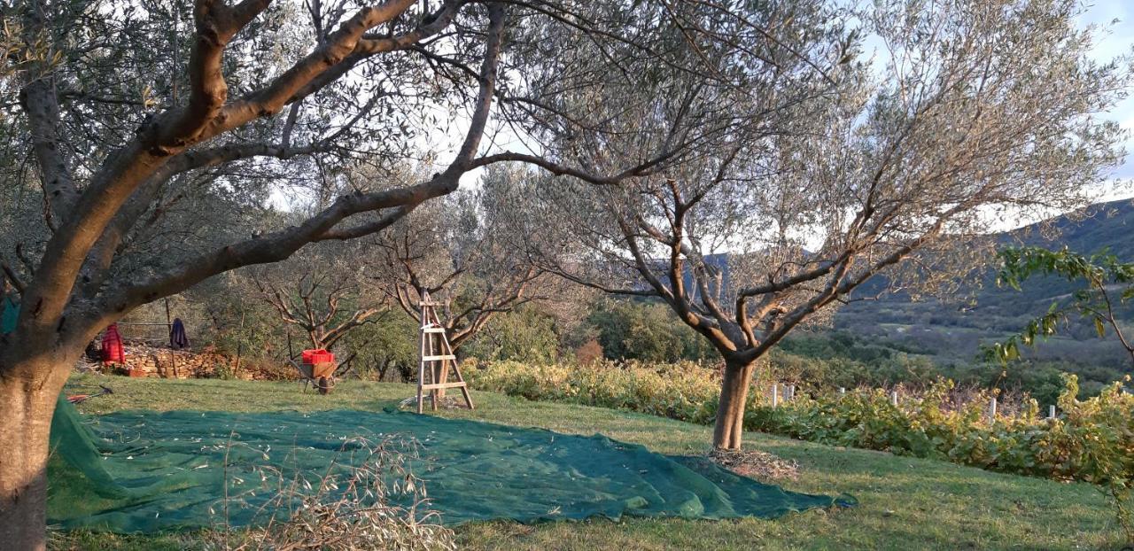 Il Glicine Bed & Breakfast San Dorligo della Valle ภายนอก รูปภาพ